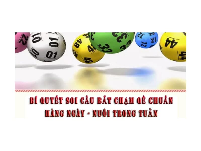 dàn đề chạm