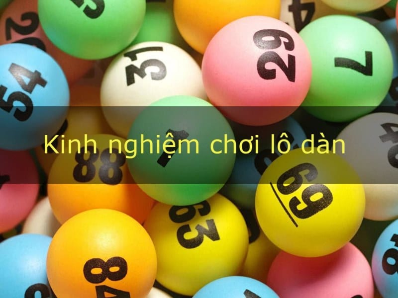 kinh nghiệm nuôi dàn đề