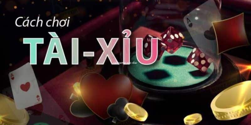 Luật tài xỉu trong 6 loại cược bạn cần nắm chắc