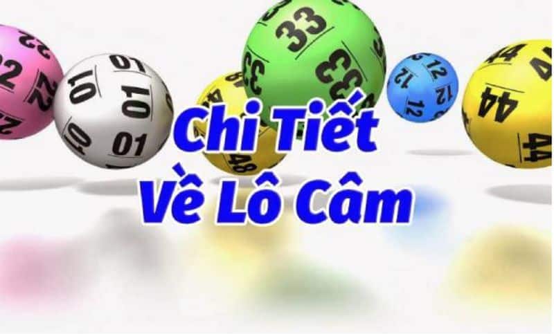 Chi tiết về lô câm