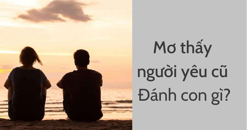 Mơ thấy người yêu cũ đánh con gì