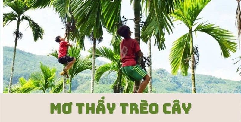 Mơ thấy trèo lên cao