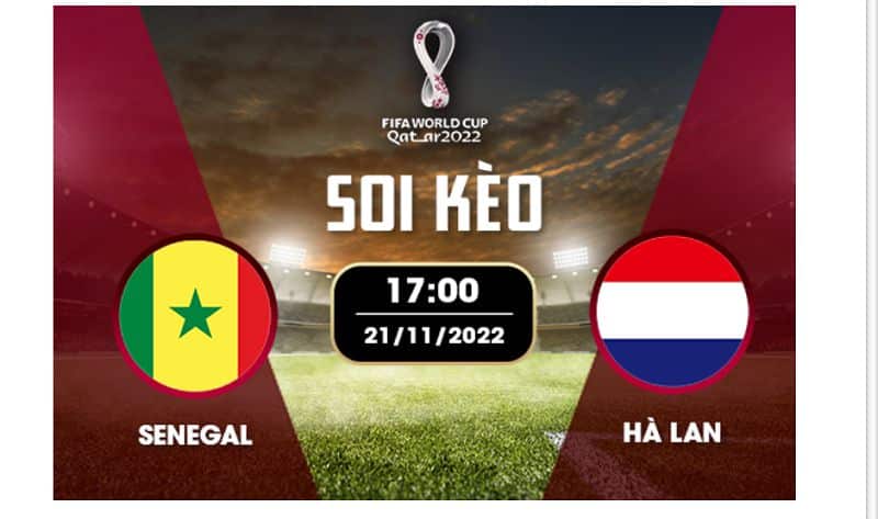 Soi kèo Senegal vs Hà Lan