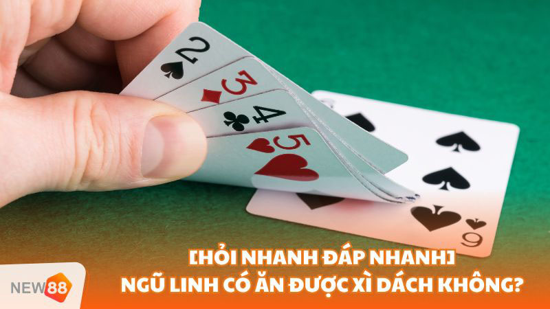 Ngũ Linh Có Ăn Được Xì Dách Không